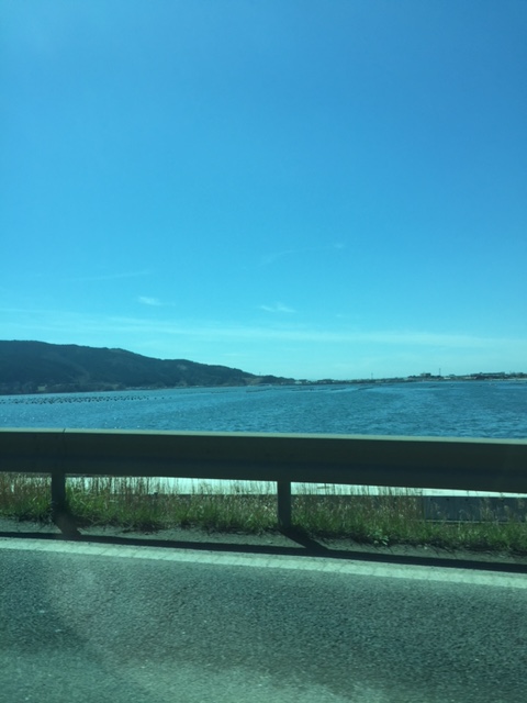 女川丼は竜宮丼だ！！！！！