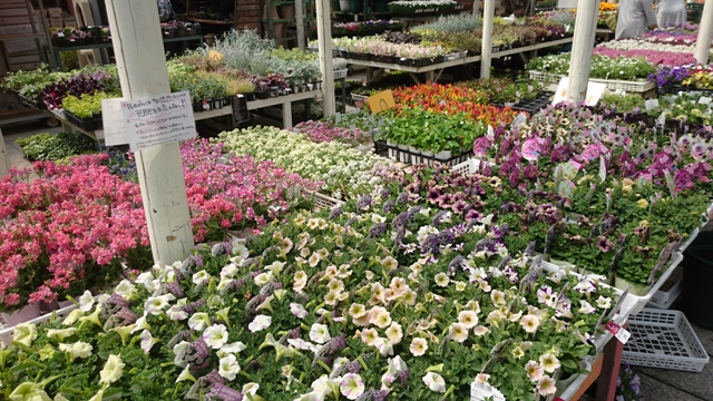 ガーデニング。