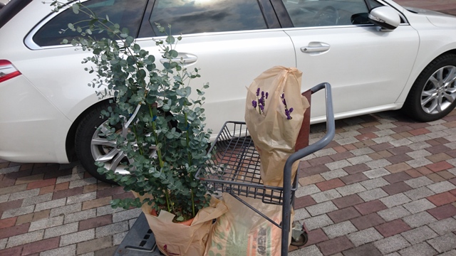 ガーデニング。