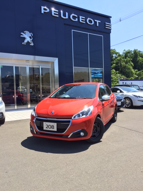 お得感たっぷりの限定車！