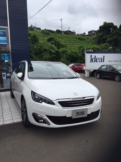 新・試乗車
