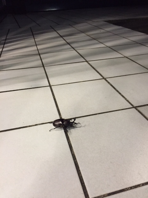 夏の終わり