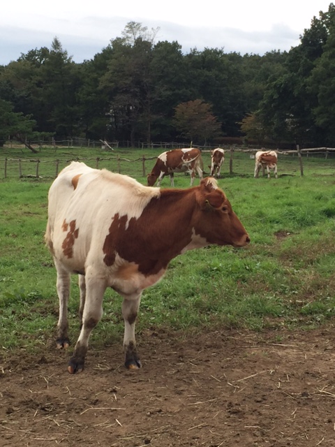 いざ！那須高原へ！