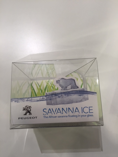 プジョーライオン　ICE-EDITION