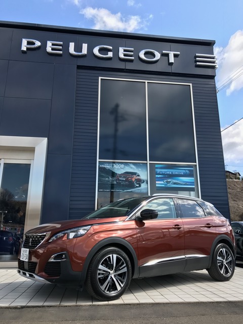 NEW3008ご試乗できます！！