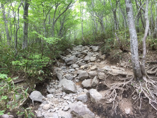 泉ヶ岳登山！