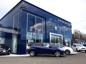 新入社員の菅原と申します。