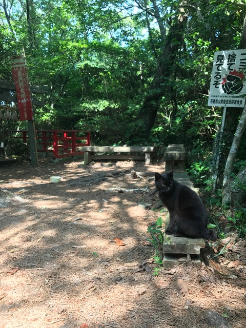 ねこの島