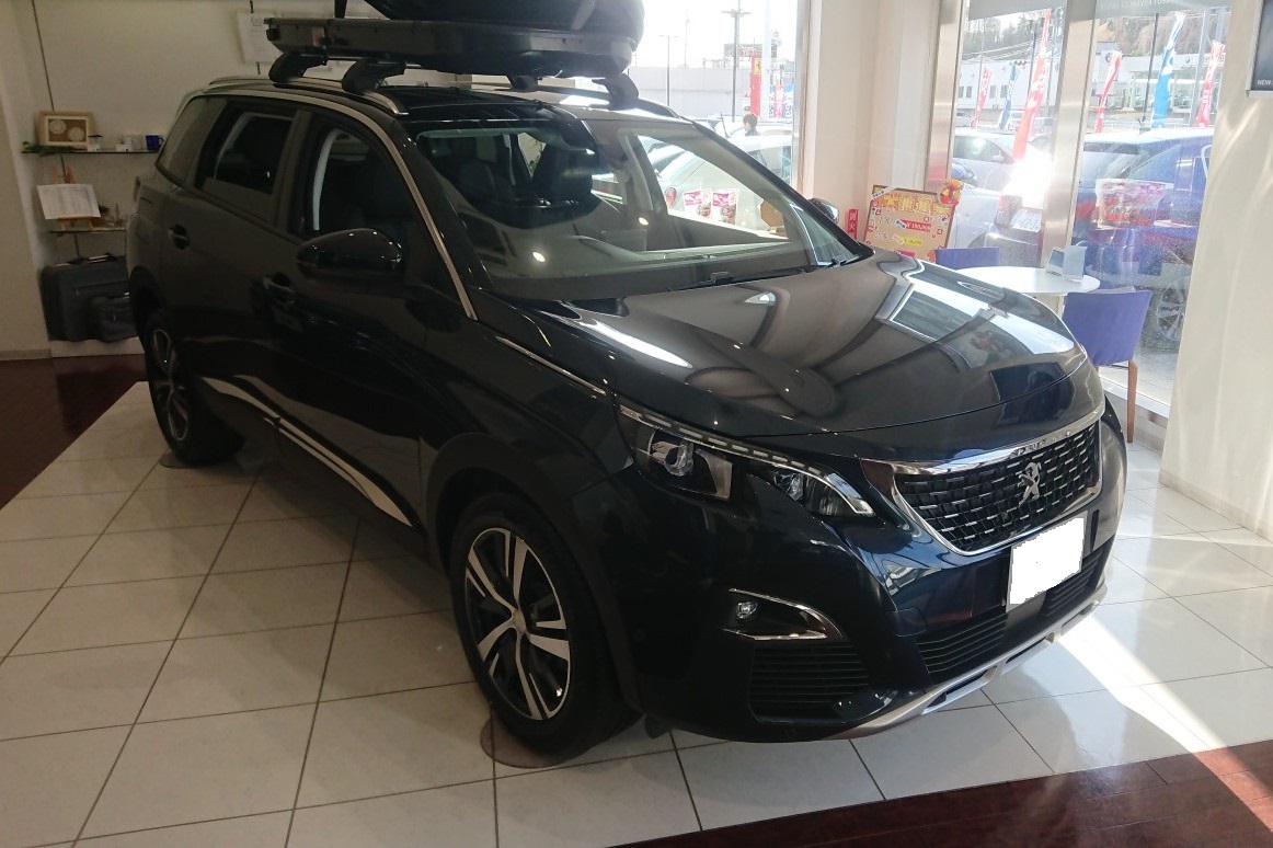 ボディーカラー色々