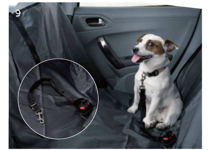 プジョーのペットグッズ