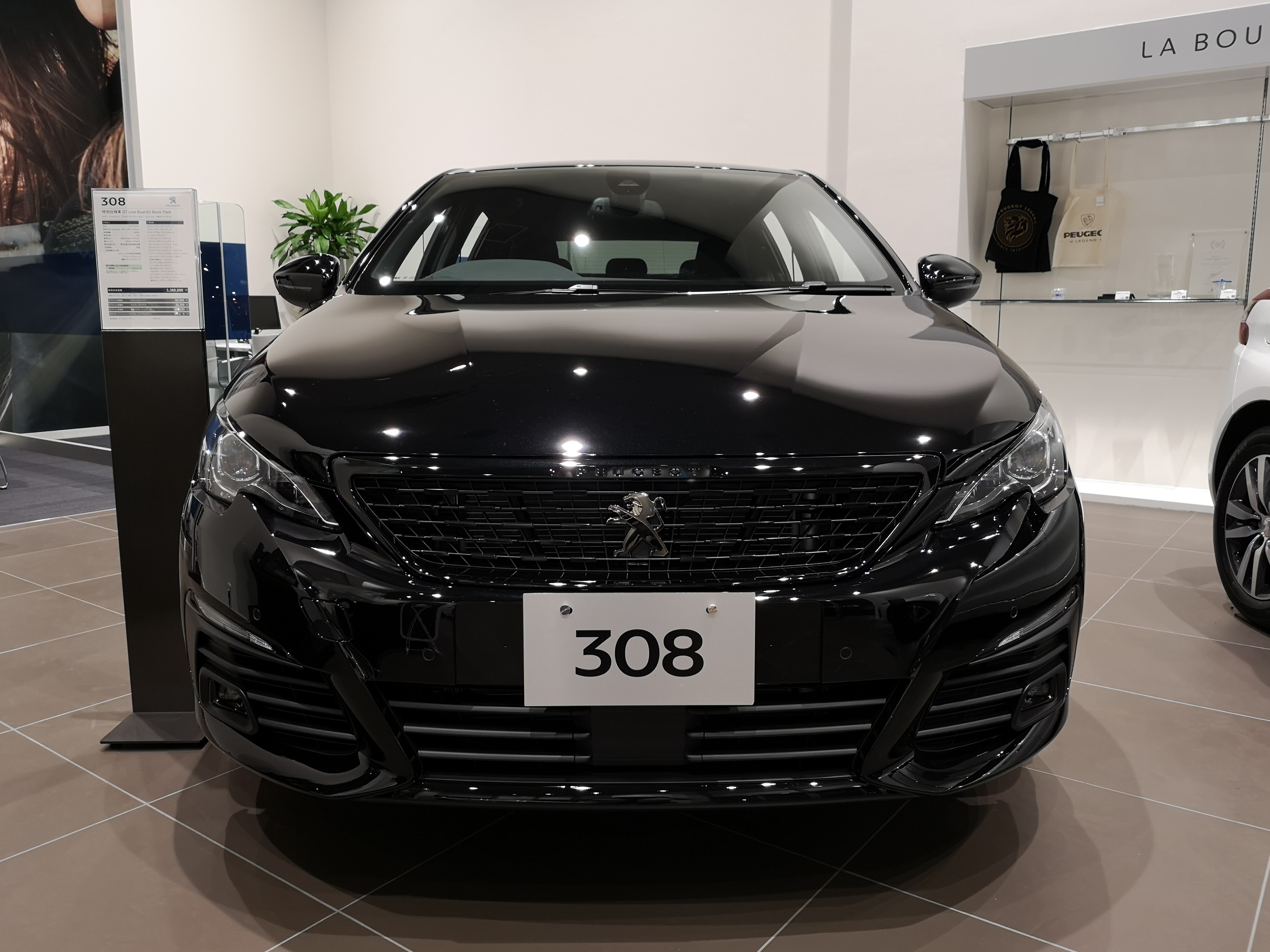 ブラックパック入荷！