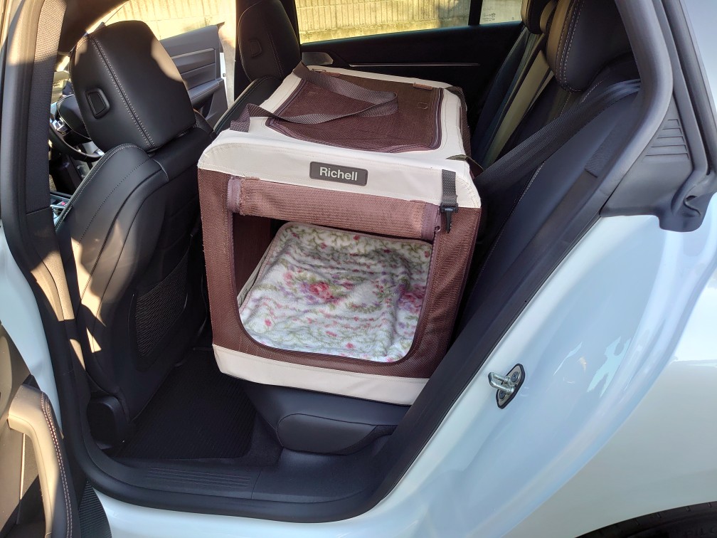 さっそくドライブに