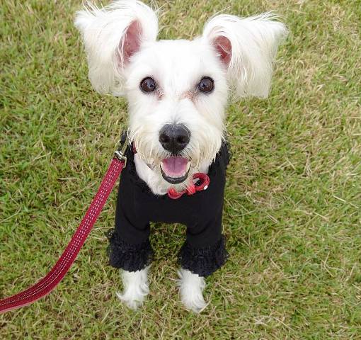 さっそくドライブに