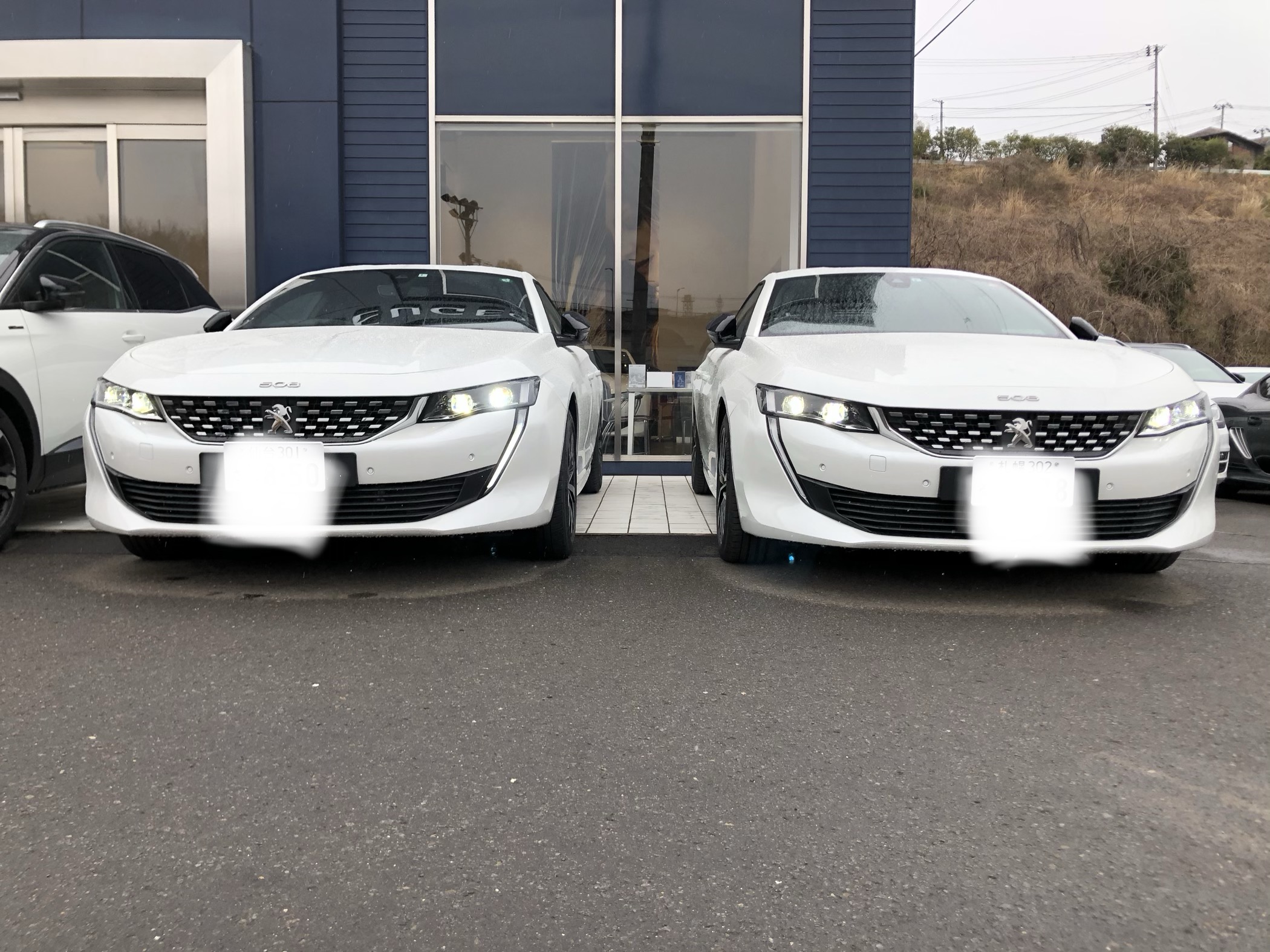 プジョー508ＧＴLINE＆ＧＴご試乗可能です