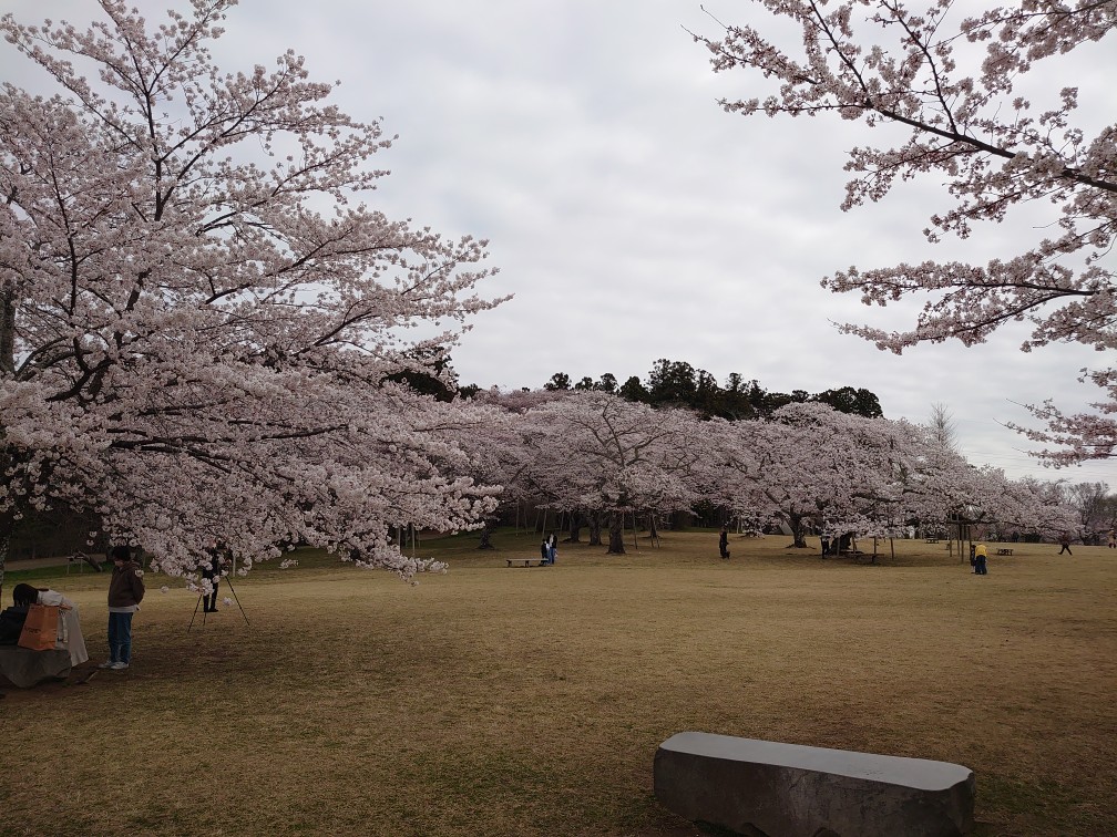 近くの公園で