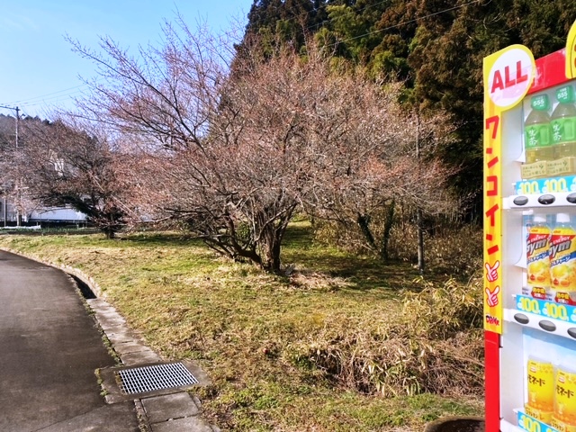 吉野日記　2022