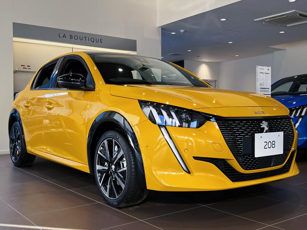 新しい仲間来ました！