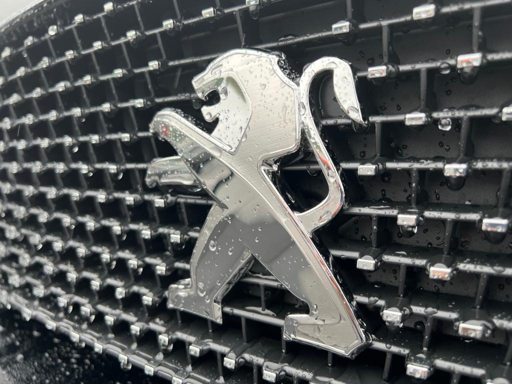 雨の降る日が続いております