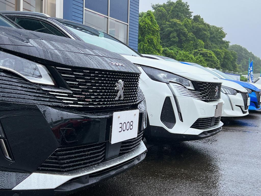 雨の降る日が続いております