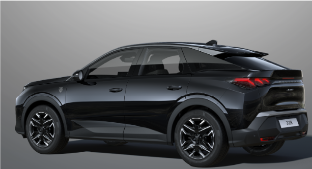 3008特別使用車登場！